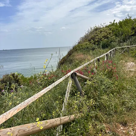 Guest house Dimore Fronte Mare 3*